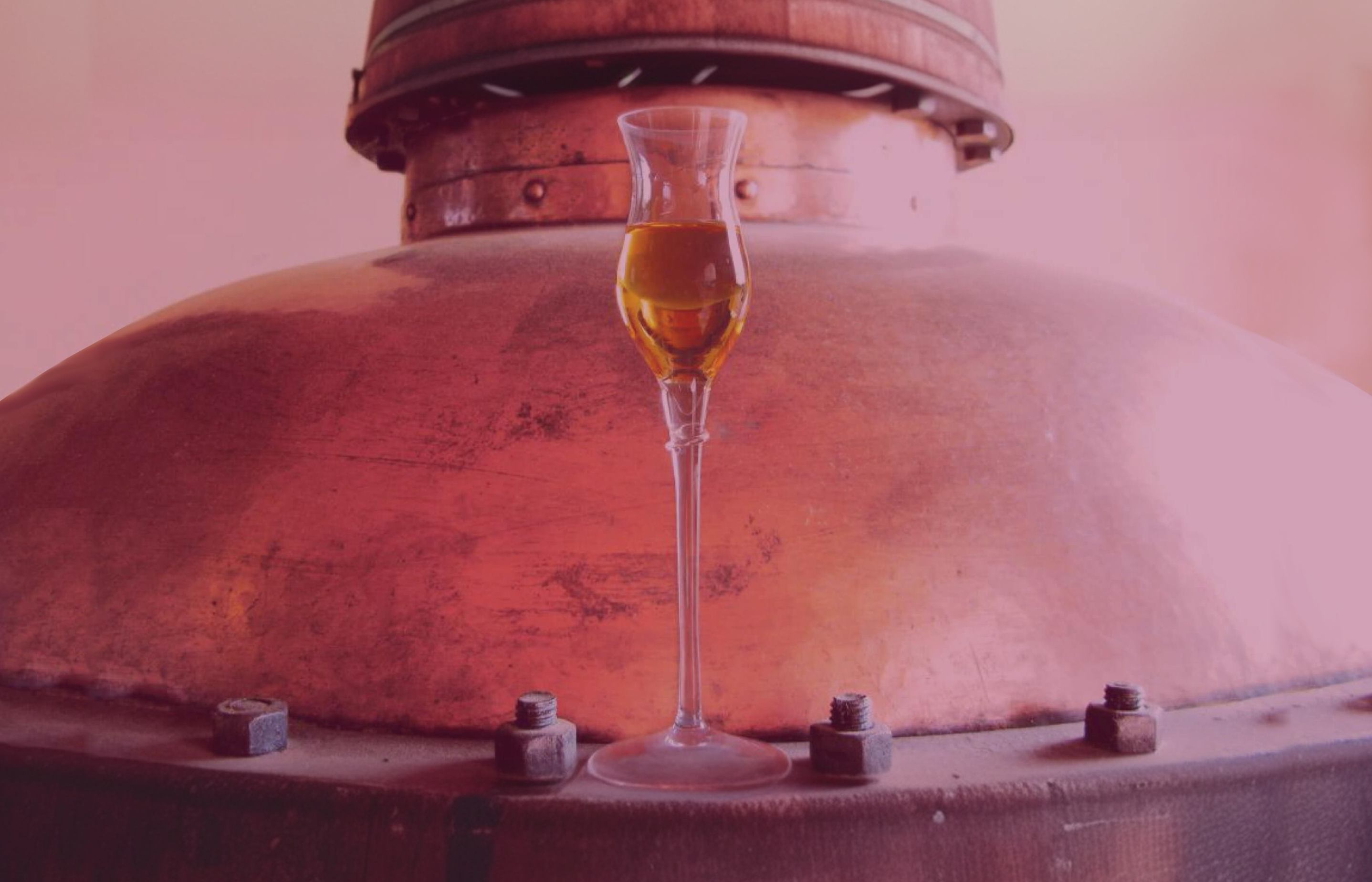 La grappa<br>è l’unico distillato<br>veramente italiano.
